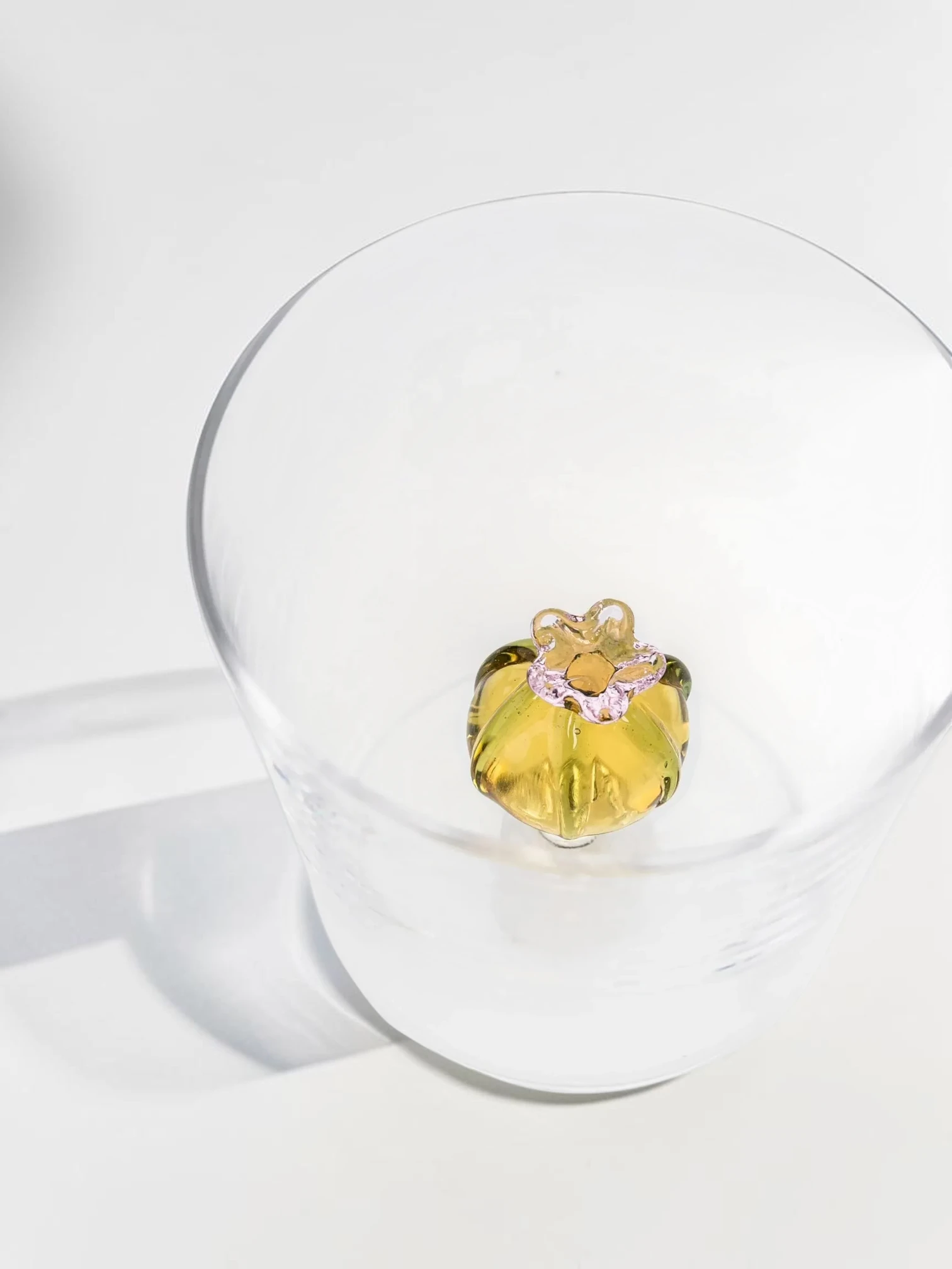 Desert Plants Tumbler Set, Borosilicate Glass, 6-Piece Botanical Collection - Image 9